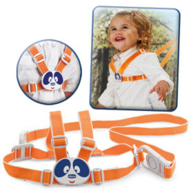 Chicco Safety Harness