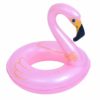 Jilong Flamingo Ring Floaters