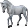 Collecta Trakehner Stallion - Grey