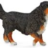 Collecta Bernese Mountain Dog Figure