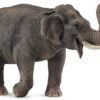 Collecta Asian Elephant Figure