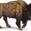 Collecta Wildlife American Bison Great Plains Toy Figure