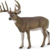 Collecta White Tailed Deer Toy