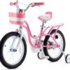 Royal Baby Little Swan 12 Inch Bike