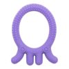 Dr.Brown's Flexees Friends Octopus Teether - Purple