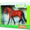 Collecta Andalusian Stallion Bright Bay in Window Box